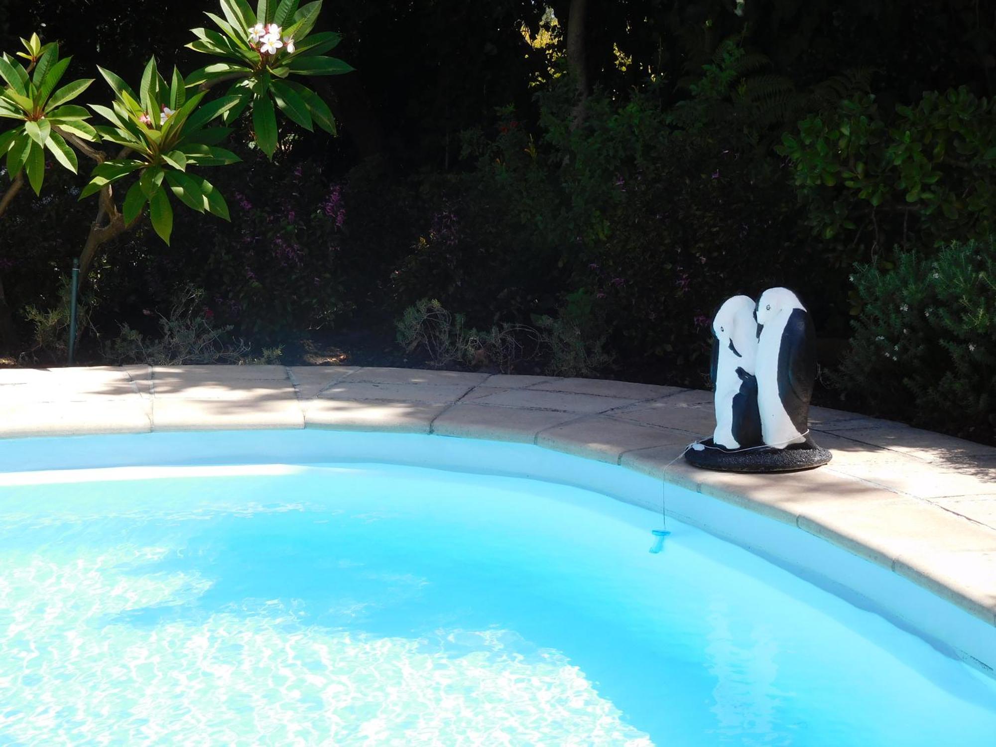 Garden- Pool Flat With Solar Electricity Сомерсет-Уэст Экстерьер фото